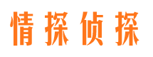 阜城市私家侦探